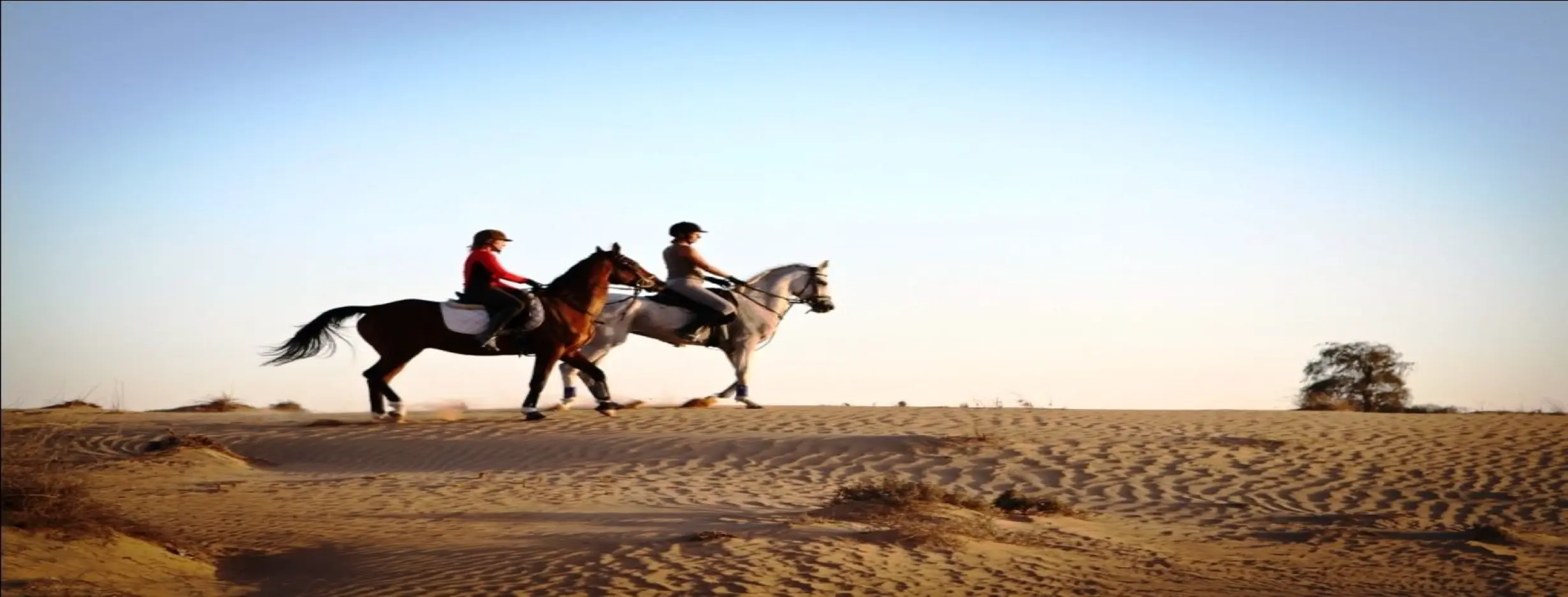Image for Horseback Riding